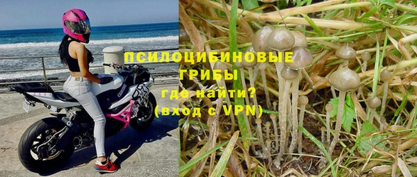 марихуана Богданович