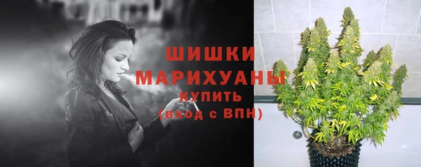 ALPHA-PVP Белокуриха