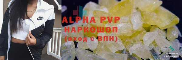 spice Богородицк