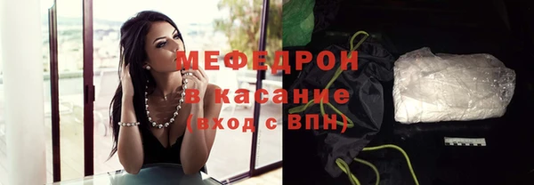 spice Богородицк