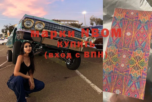 spice Богородицк