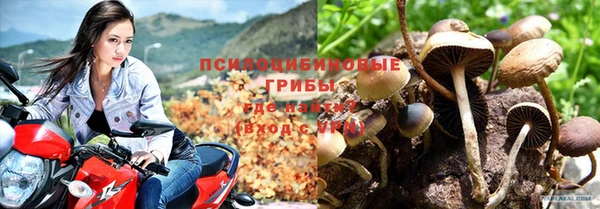 марихуана Богданович