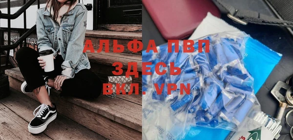 spice Богородицк