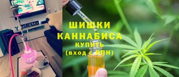 spice Богородицк