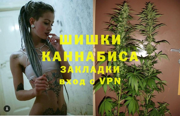 spice Богородицк