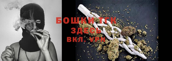 spice Богородицк